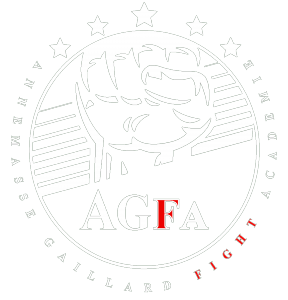ANNEMASSE GAILLARD FIGHT ACADÉMIE
